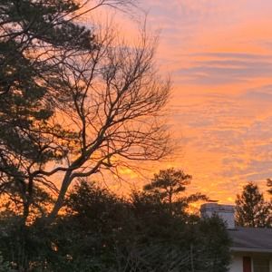 Meet your Posher, Lowry